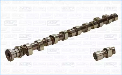 WILMINK GROUP WG1456501