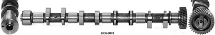 WILMINK GROUP WG1051565