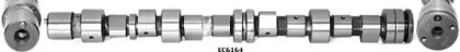 WILMINK GROUP WG1051578