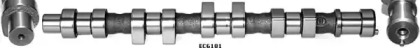 WILMINK GROUP WG1051581