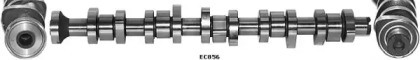 WILMINK GROUP WG1051714