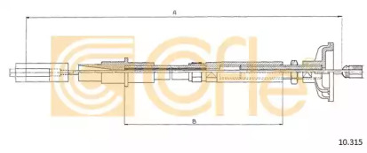 COFLE 10.315