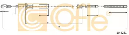 COFLE 10.4231