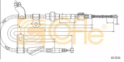 COFLE 10.5231
