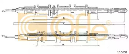COFLE 10.5891
