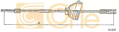 COFLE 10.818