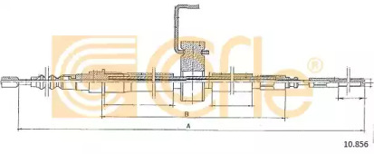 COFLE 10856