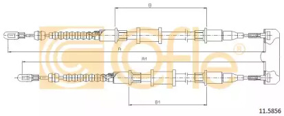 COFLE 11.5856