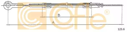 COFLE 123.6