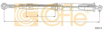 COFLE 1251.9