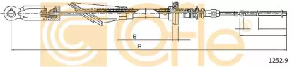 COFLE 1252.9