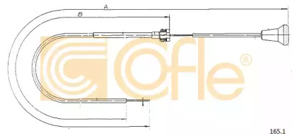 COFLE 165.1
