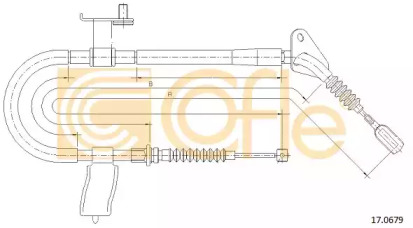 COFLE 170679