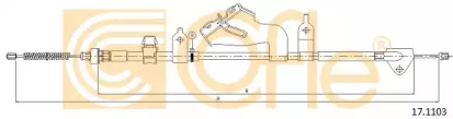 COFLE 17.1103