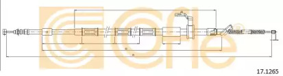 COFLE 17.1265