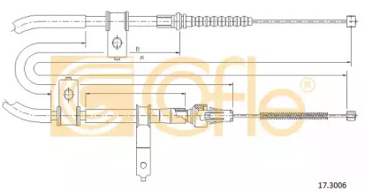 COFLE 17.3006
