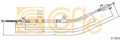 COFLE 17.3021