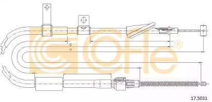 COFLE 17.5031