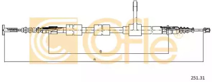 COFLE 251.31