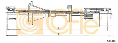 COFLE S31315