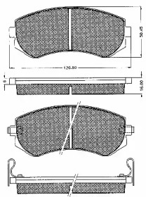 BSF 10557