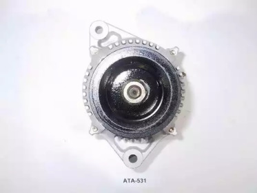 AES ATA-531
