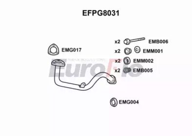 EUROFLO EFPG8031