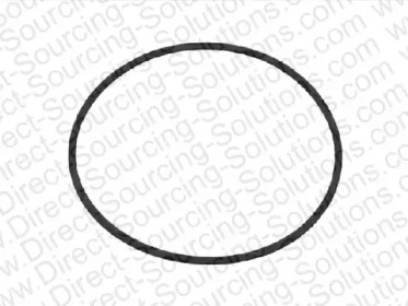 DSS 204169