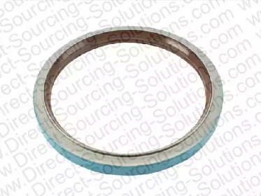 DSS 205011