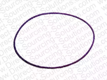 DSS 206205