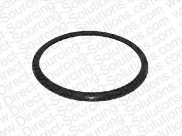 DSS 207900