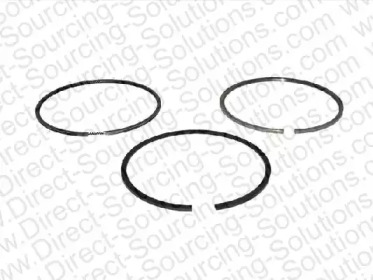 DSS 210031