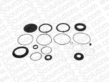 DSS 250083