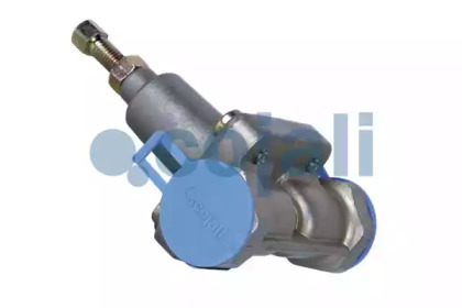 COJALI 2206125