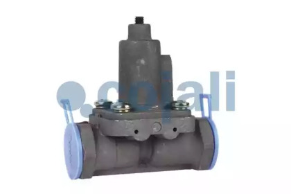 cojali 2206137