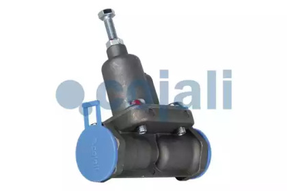 cojali 2206137