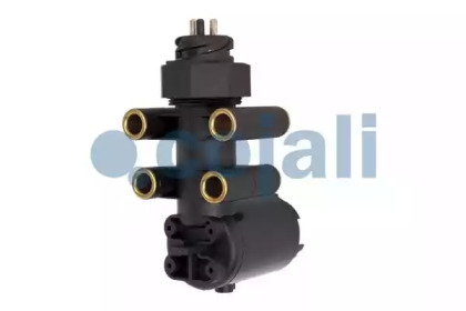 cojali 2209105