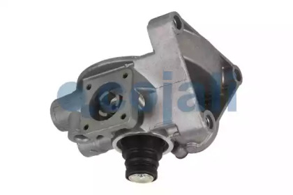 cojali 2210302