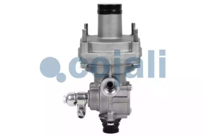 cojali 2220311