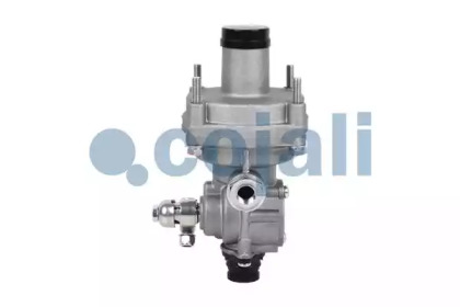 cojali 2220312