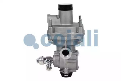 cojali 2220328