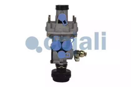 cojali 2220349
