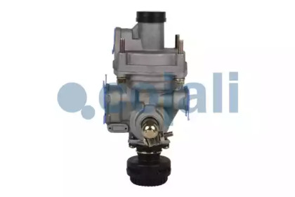 cojali 2220349