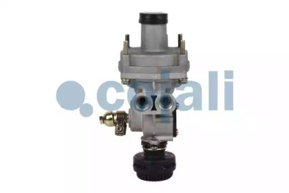 cojali 2220349