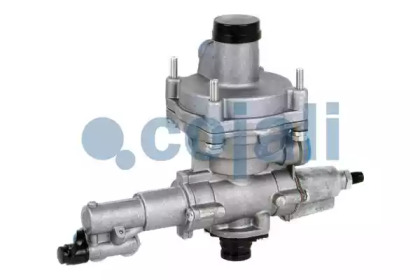 cojali 2220414