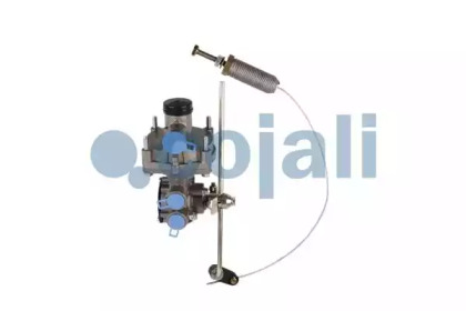 cojali 2220503