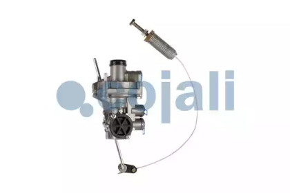 cojali 2220503