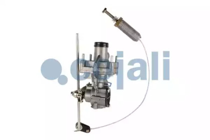 cojali 2220503
