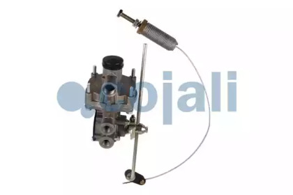 cojali 2220503