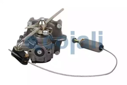 cojali 2220503